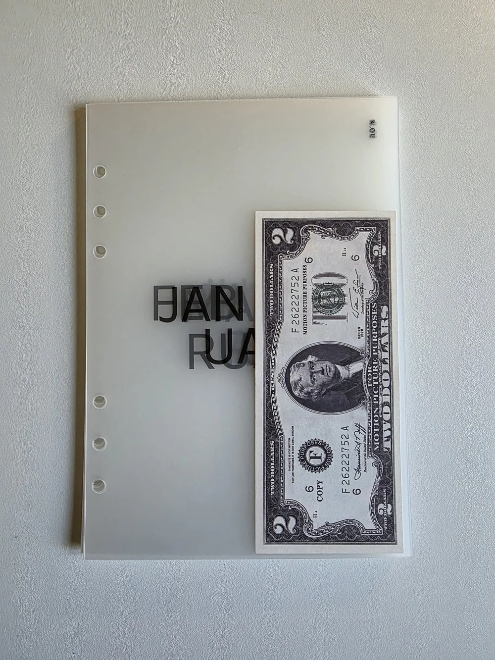 The Aesthetic Dollar Frosted Plastic Monthly Dividers Set Of 12
